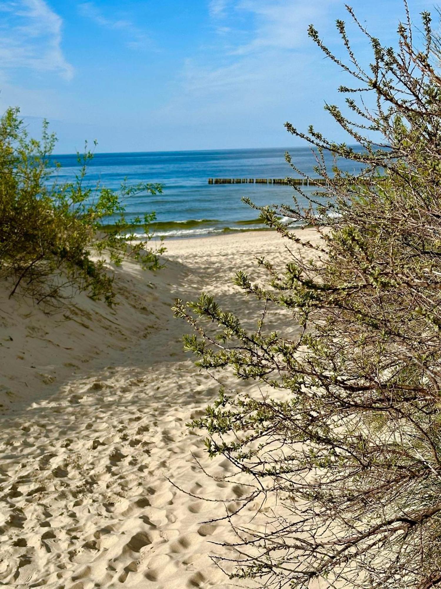 Pokoje Dziwnow Welle Extérieur photo