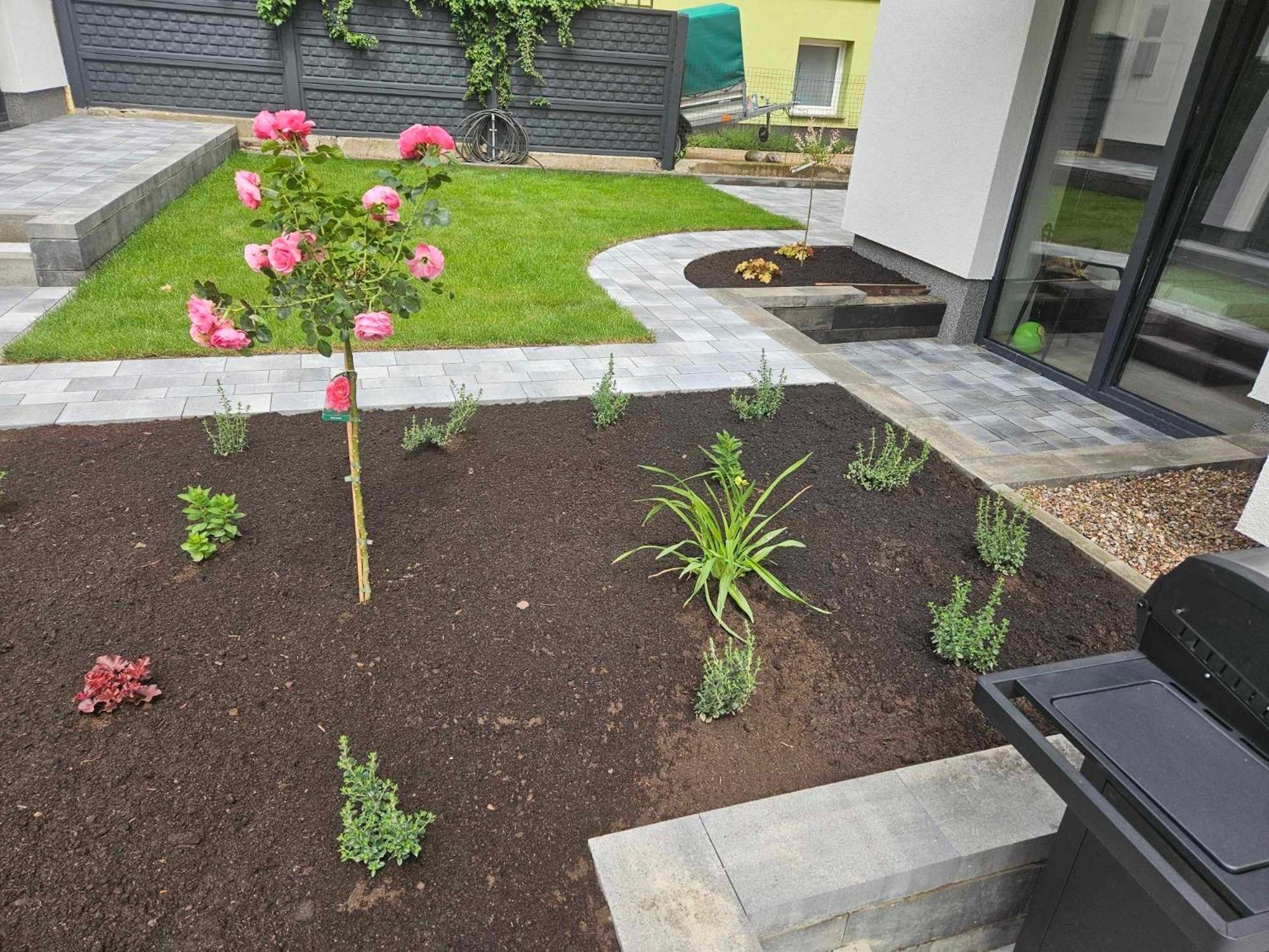 Pokoje Dziwnow Welle Extérieur photo